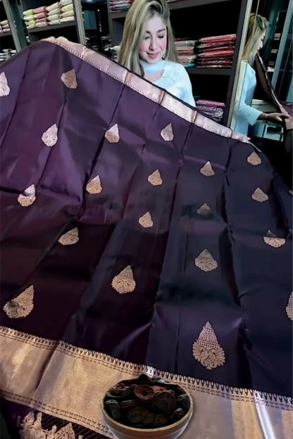 Royal Purple Soft Banarasi Silk Saree with Woven Zari Border