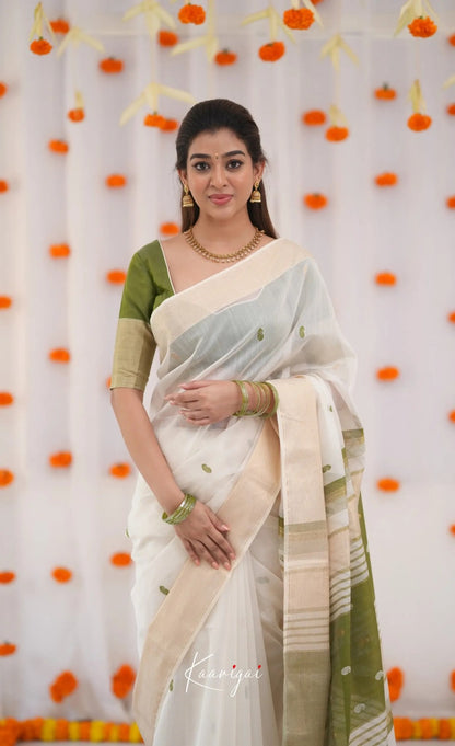 Elegant White Cotton Saree with Olive Green Border – Minimal Festive Look