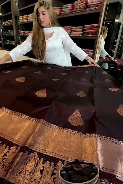 Royal Purple Soft Banarasi Silk Saree with Woven Zari Border