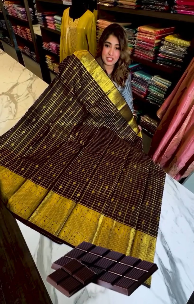 Elegant Chocolate Brown Kanjivaram Soft Silk Saree