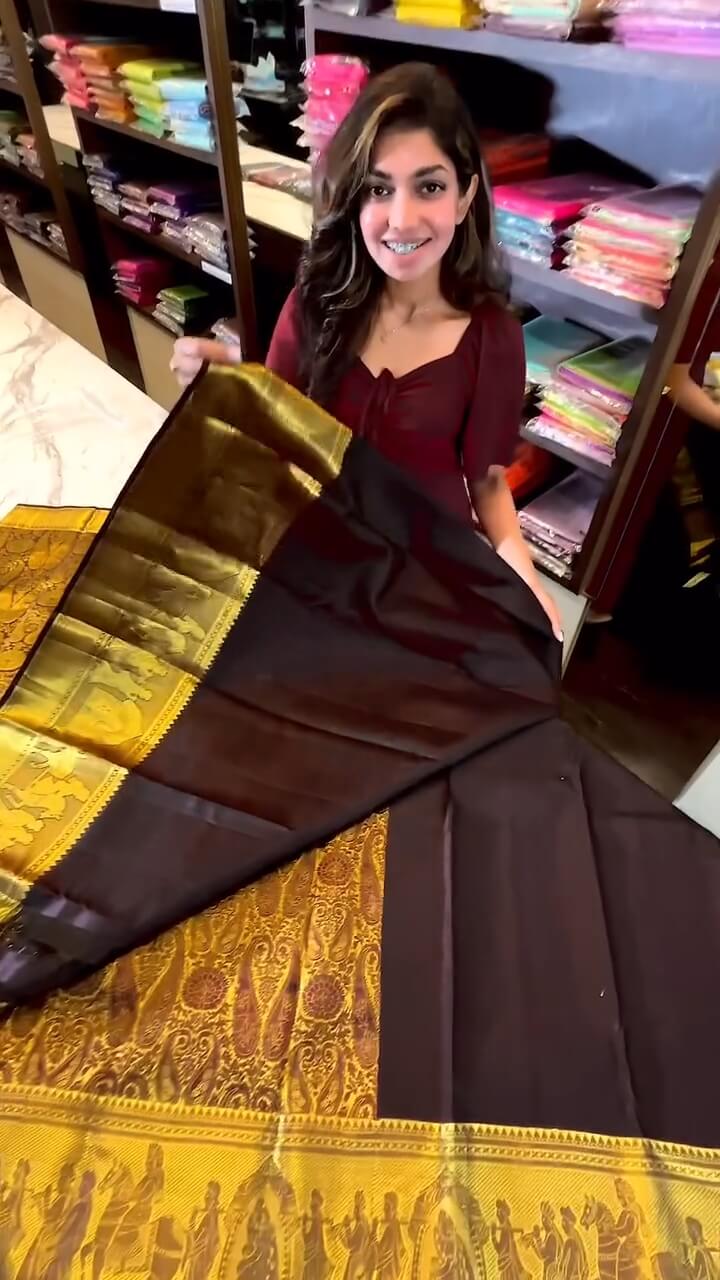 Divine Brown Soft Banarasi Silk Saree with Alluring Blouse Piece